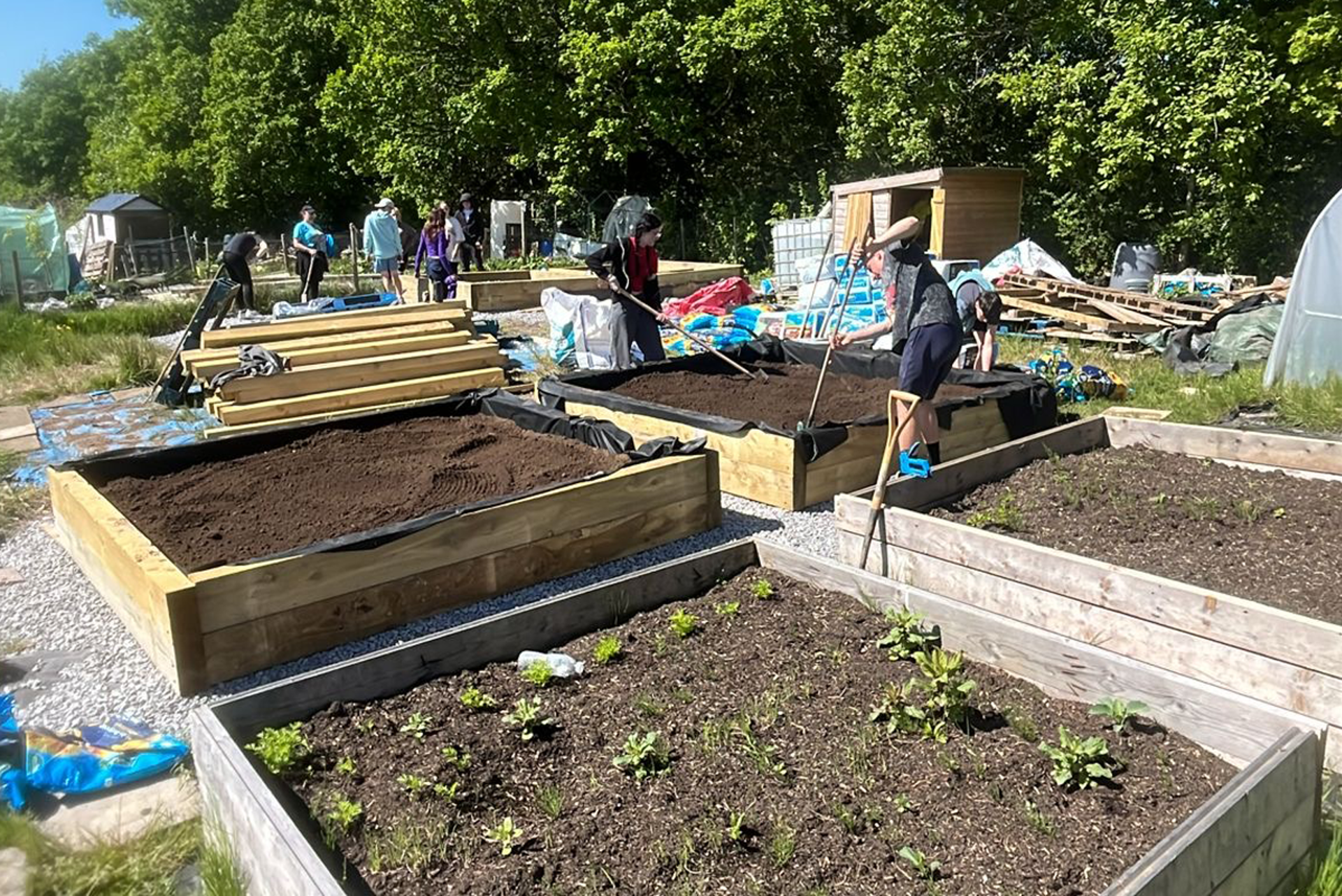 Community allotment