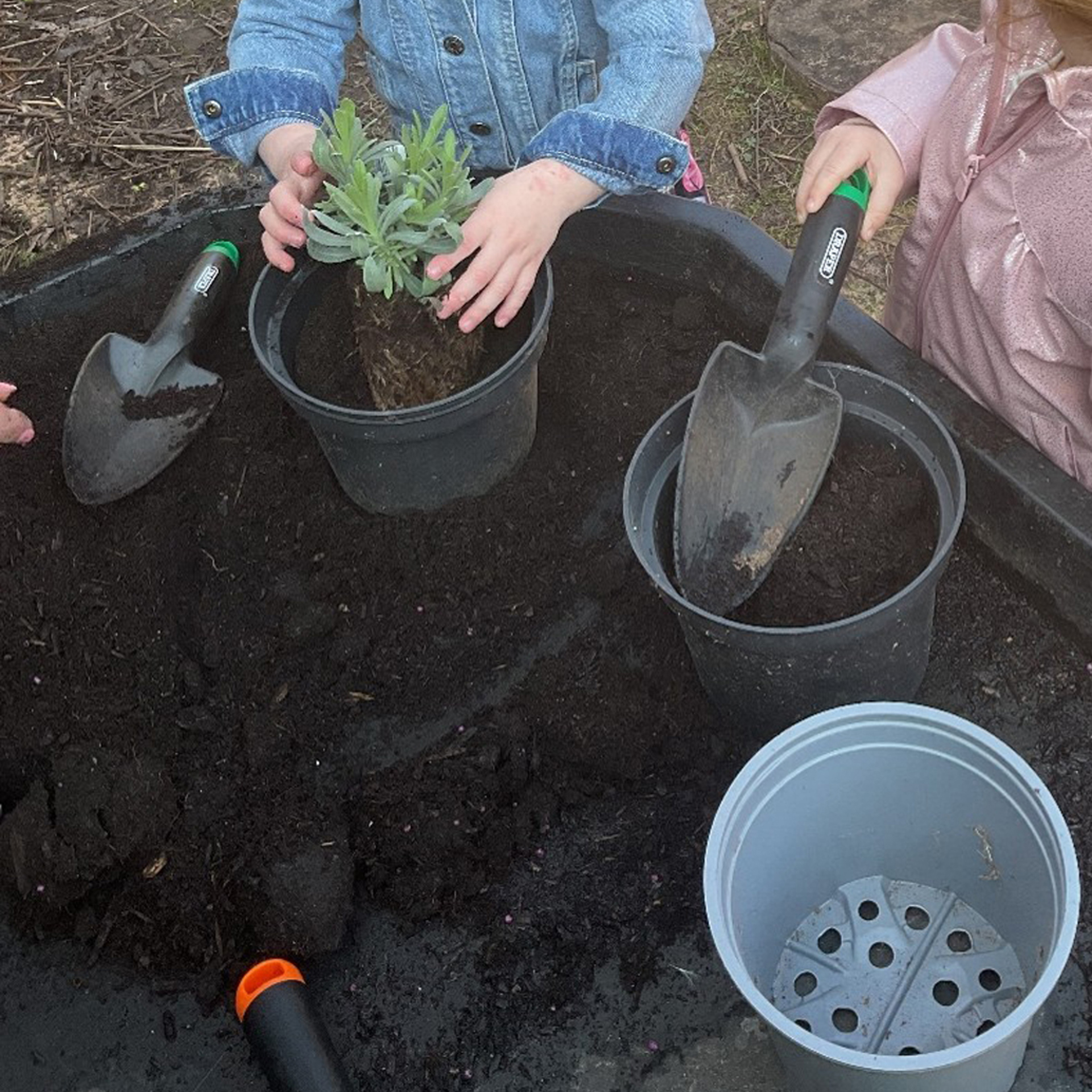 Plant yn garddio
