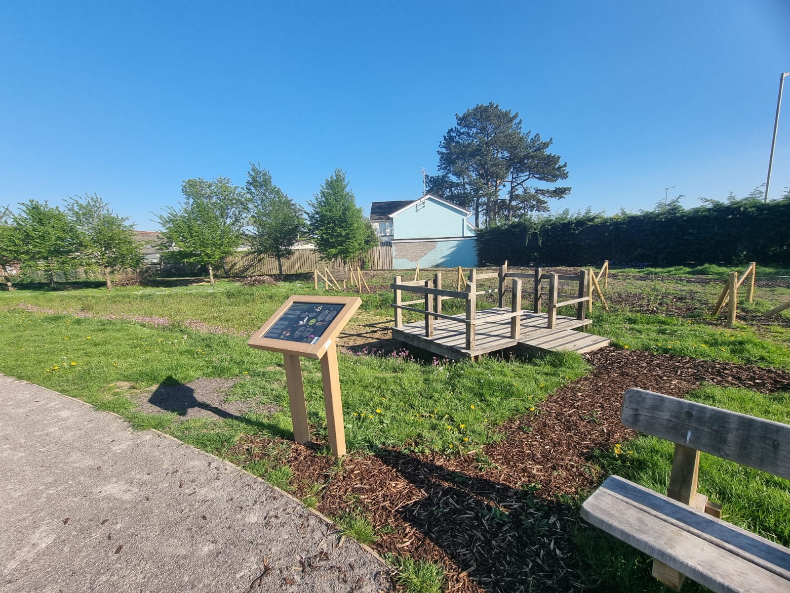 Cyflwyno dolydd blodau gwyllt newydd i beillwyr, llwybrau hygyrch ac arwyddion i ymwelwyr fel rhan o brosiect Lleoedd Lleol ar gyfer Natur sy’n mynd rhagddo ar Gae Cymunedol Llangrallo.