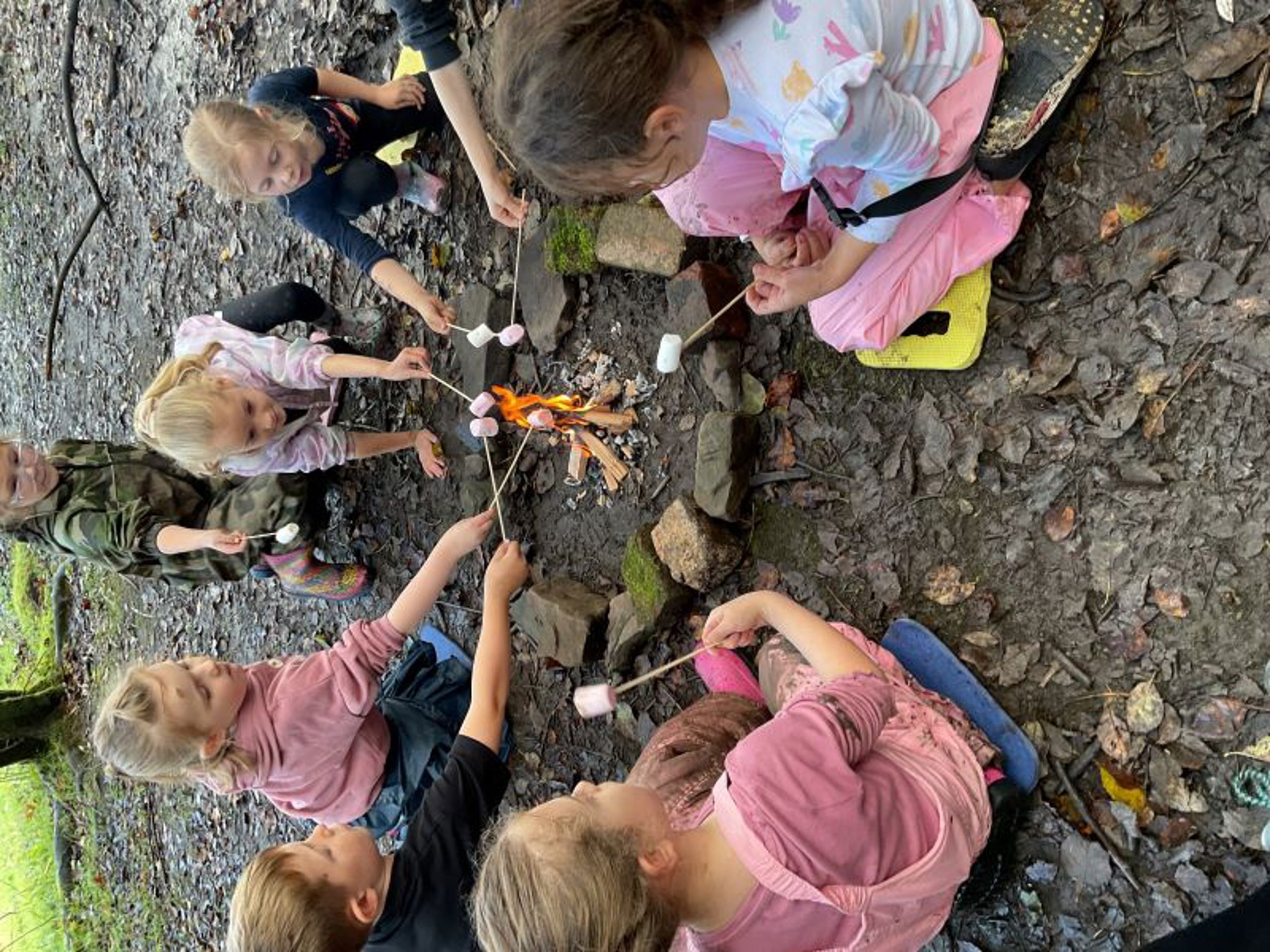 Disgyblion Ffaldau yn rhostio marshmallows dros dân