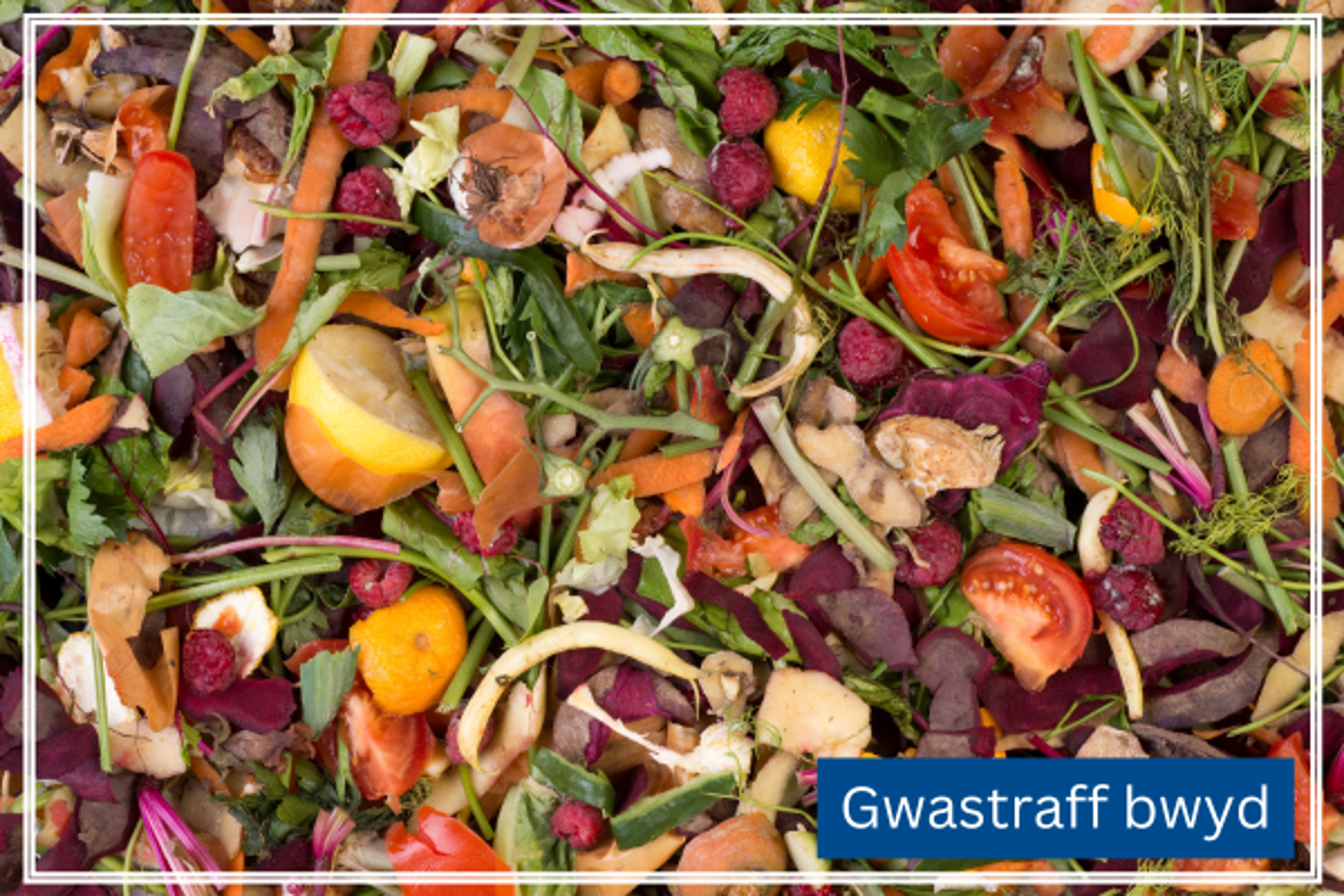 Gwastraff bwyd