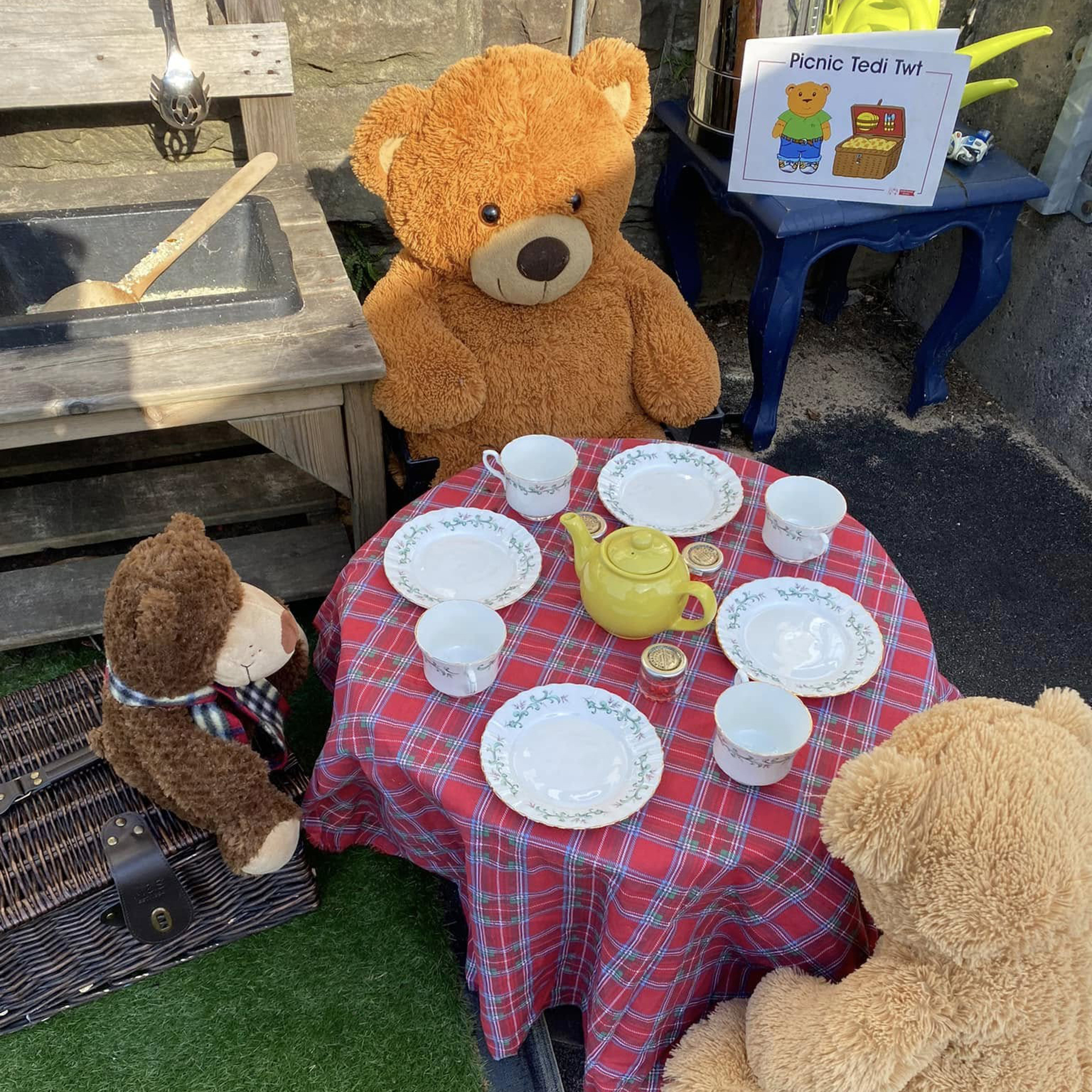 Picnic tedi bêrs