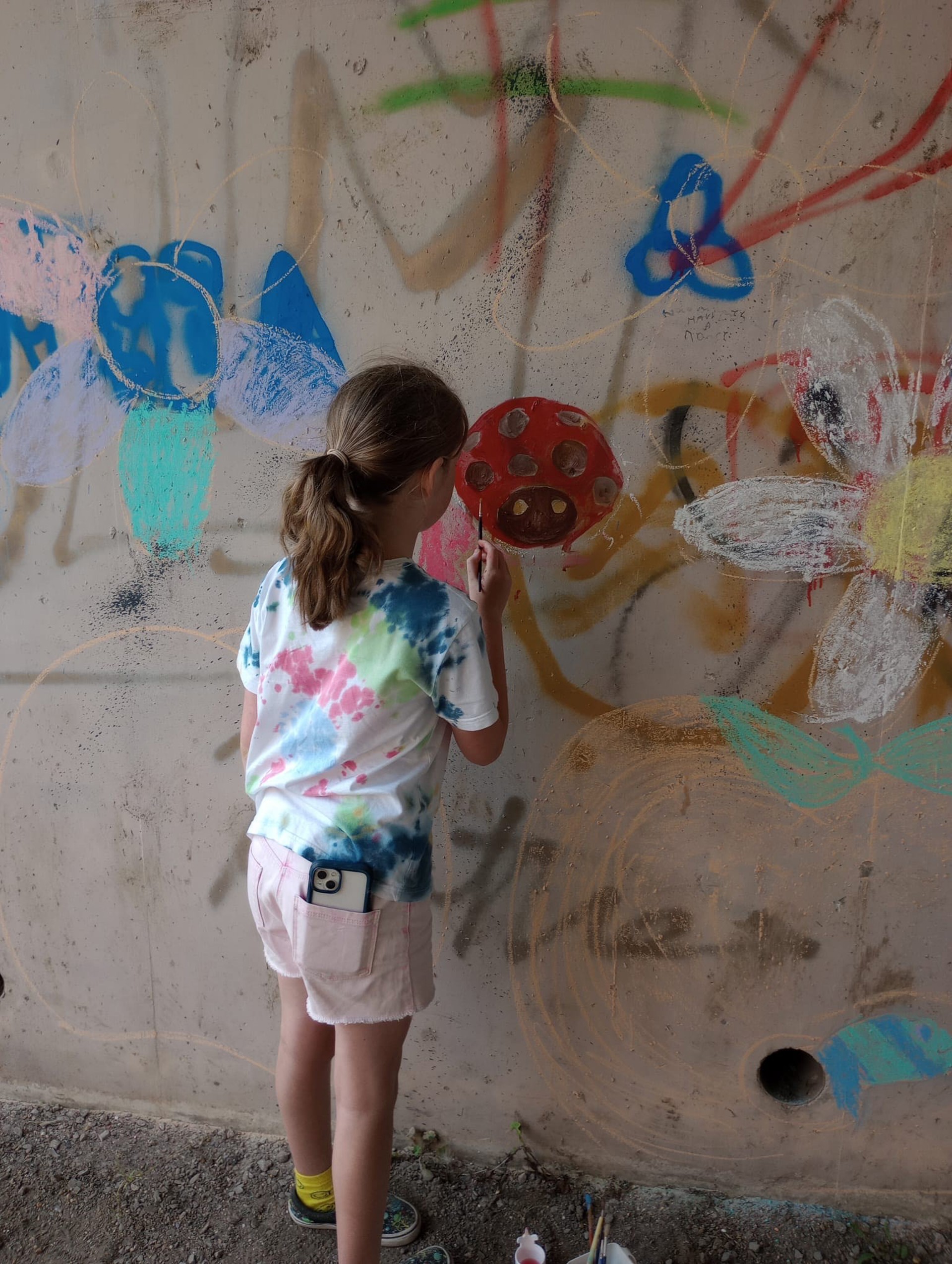 Y tanlwybr gyda graffiti yn cael ei beintio drosodd gyda llun o aderyn foneddiges