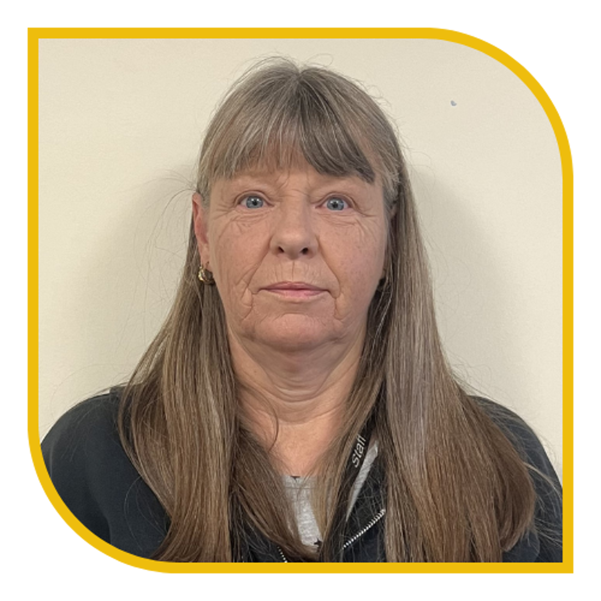 Angela Cronin, Gweithiwr Datblygu